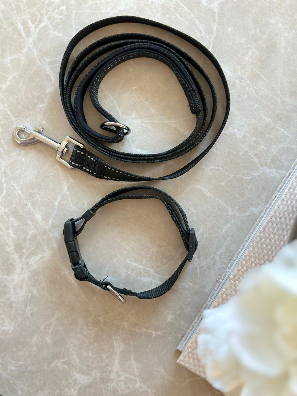 Reflekterende halsbånd + snor kit - Sort