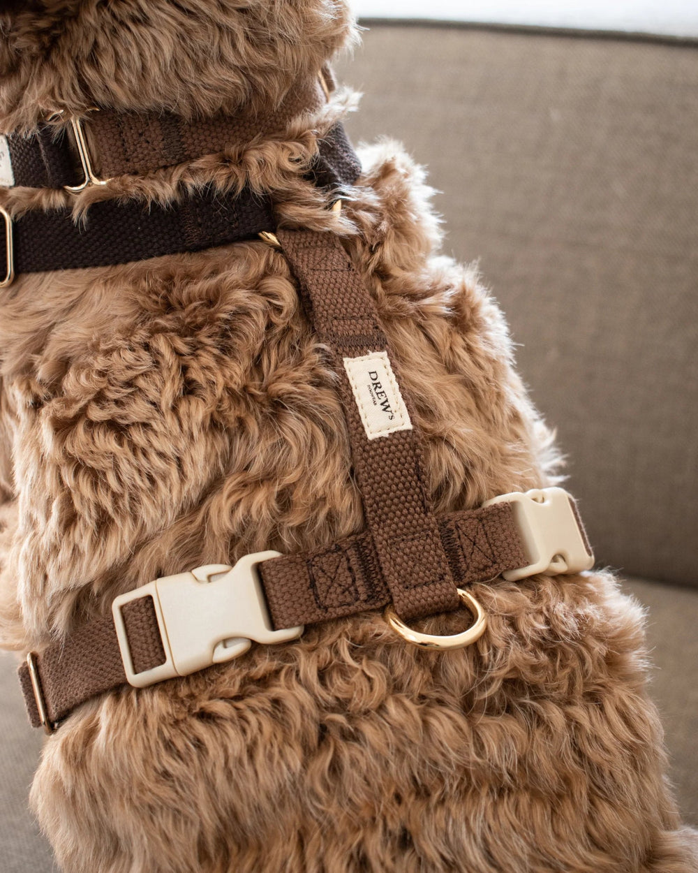 DREWS Chocolate / Justerbar hundesele (mørkebrun) - HappyPuppy.dk