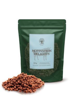 Essential Motivation Delights 500g