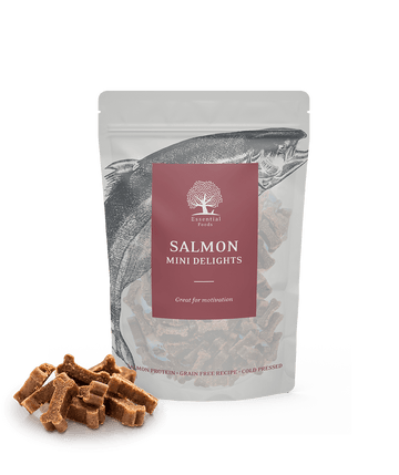 Essential Salmon Mini Delights godbidder 100g