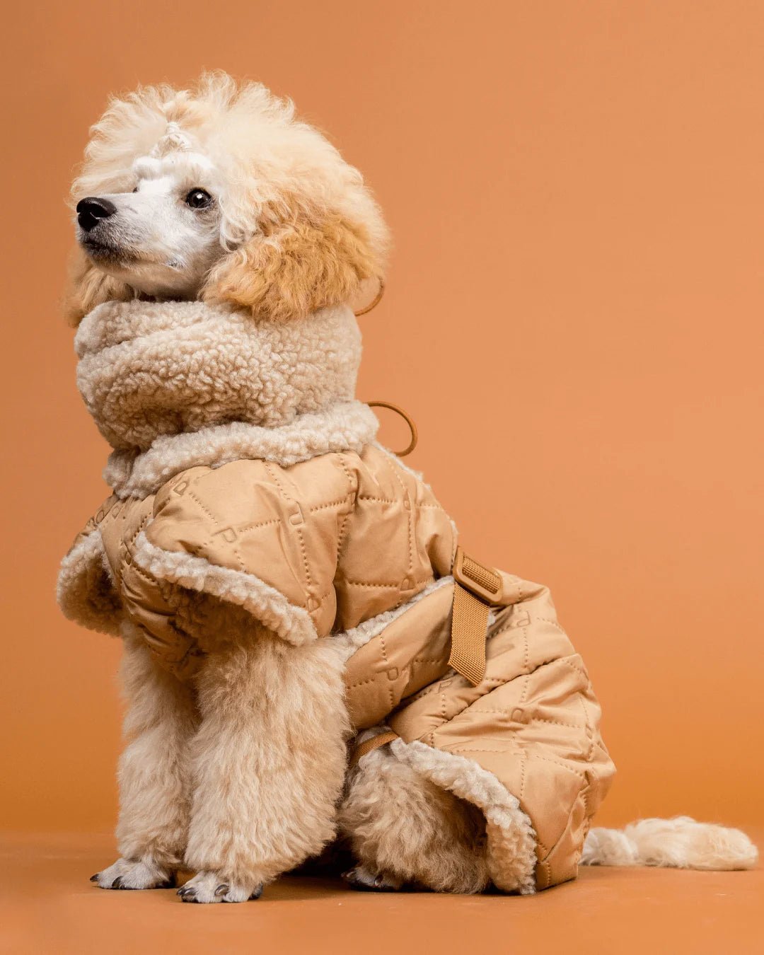 Beklædning - HappyPuppy.dk