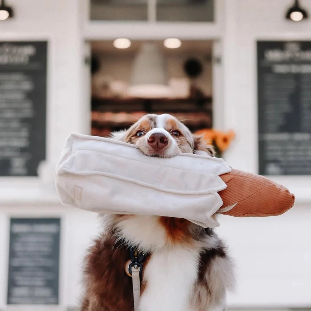 Nyheder - HappyPuppy.dk