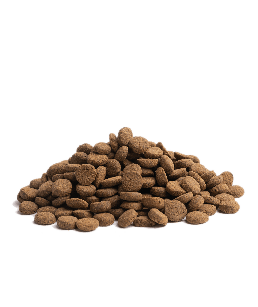 10KG ESSENTIAL CONTOUR - HappyPuppy.dk