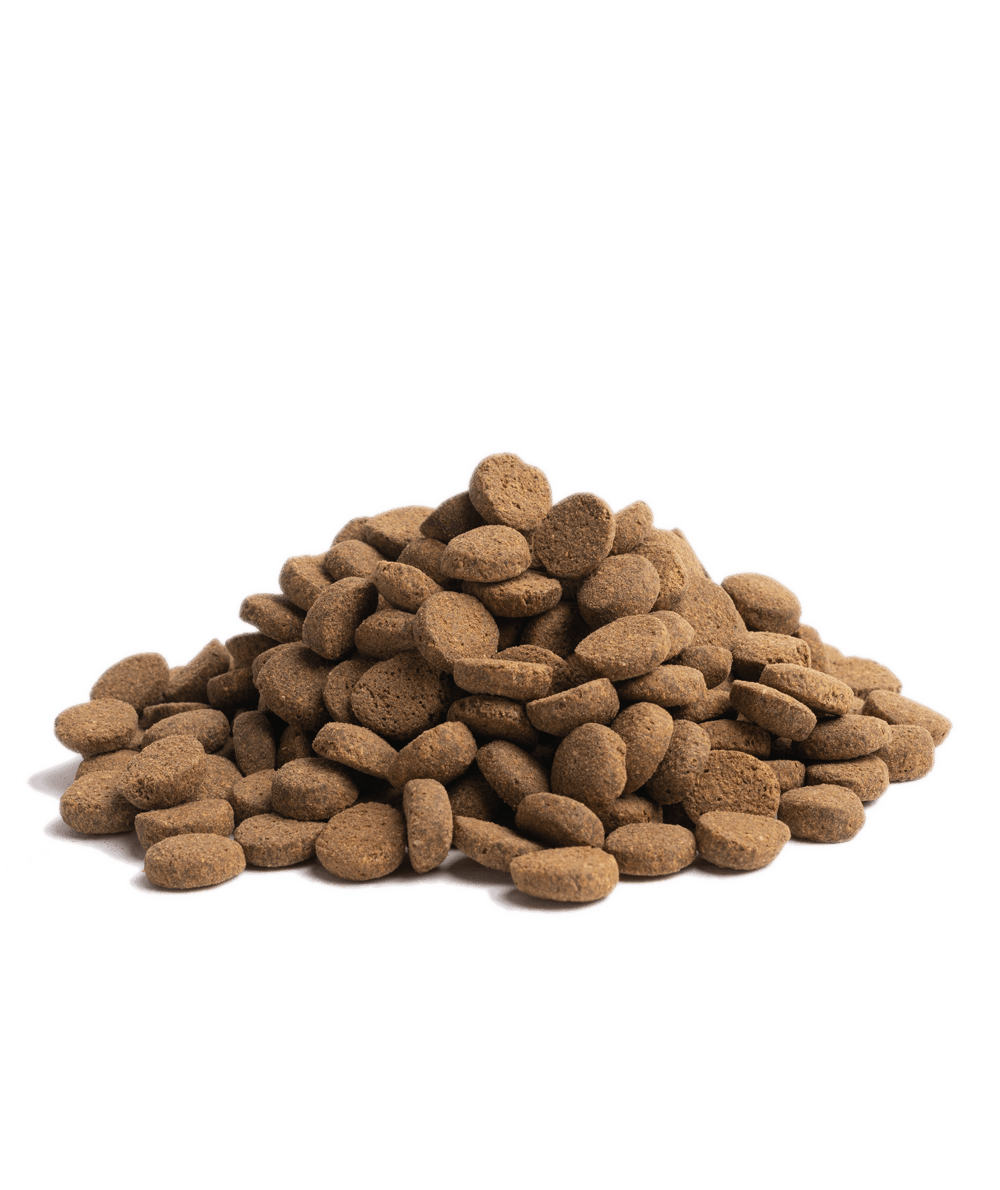 10KG ESSENTIAL OLDER - HappyPuppy.dk