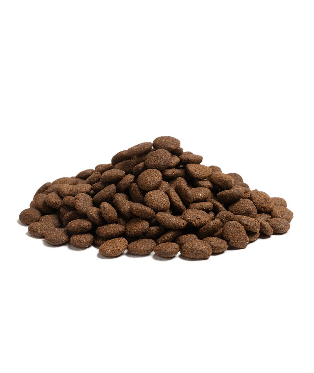 10KG ESSENTIAL THE BEGINNING LARGE BREED - HappyPuppy.dk