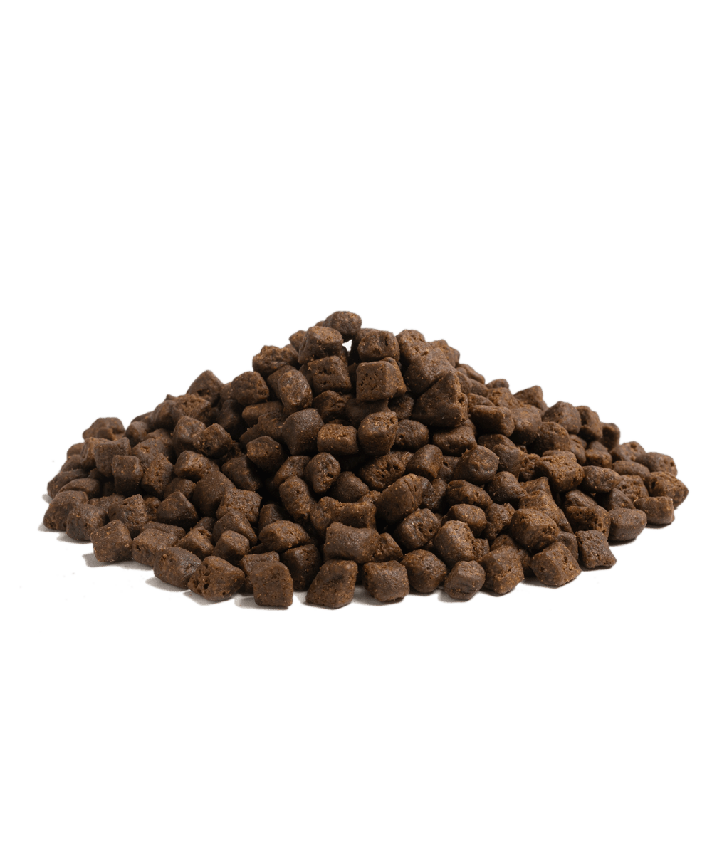 10KG SMALL SIZE ESSENTIAL THE BEGINNING - HappyPuppy.dk