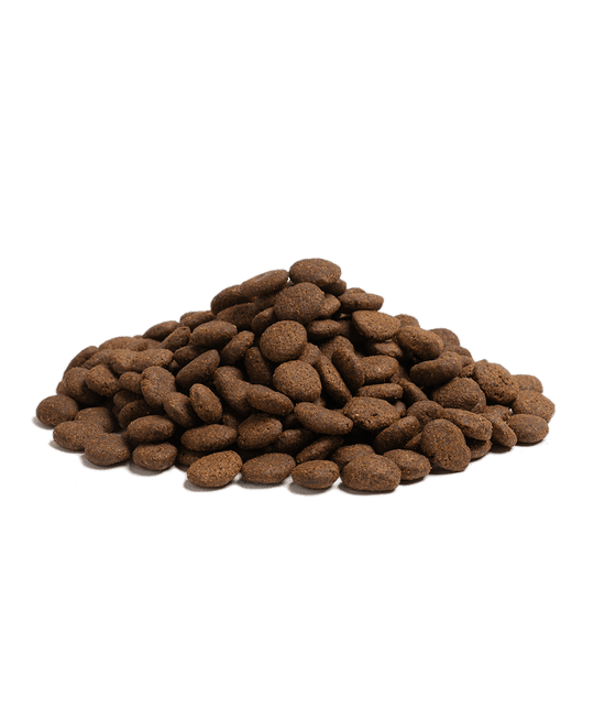 2,5KG ESSENTIAL THE BEGINNING LARGE BREED - HappyPuppy.dk