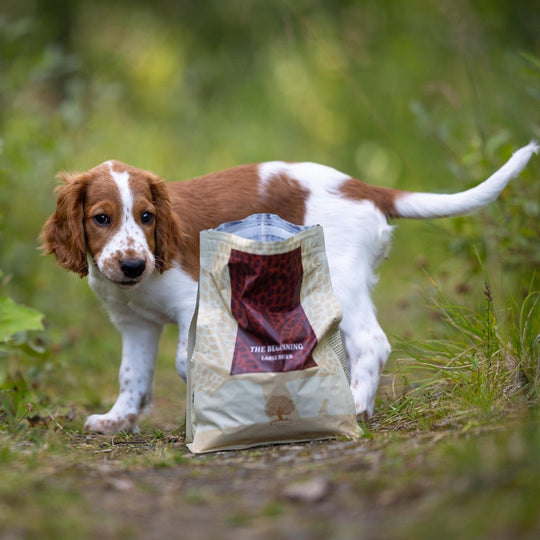 2,5KG ESSENTIAL THE BEGINNING LARGE BREED - HappyPuppy.dk