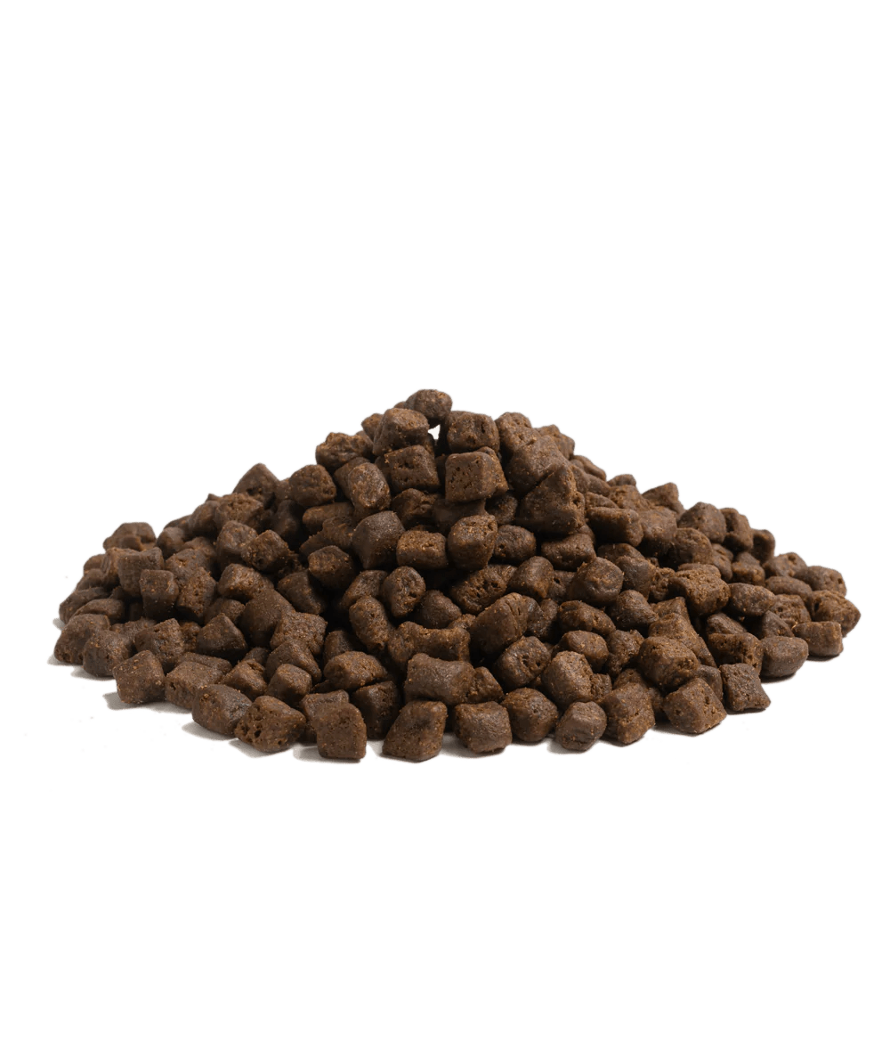 2,5KG SMALL SIZE ESSENTIAL THE BEGINNING - HappyPuppy.dk