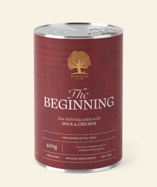 Essential The Beginning Paté 6x400g