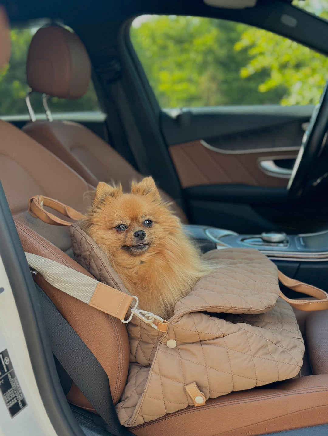 Zenora 3i1 hundetaske Brindisi