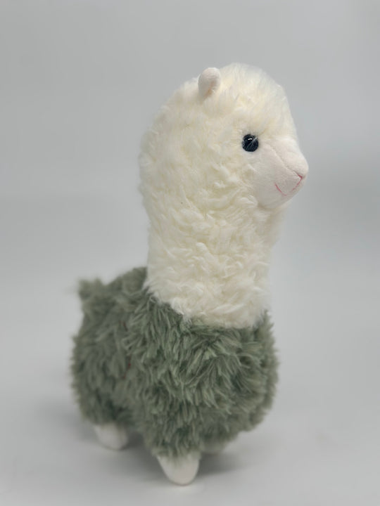 Alpaca Anton