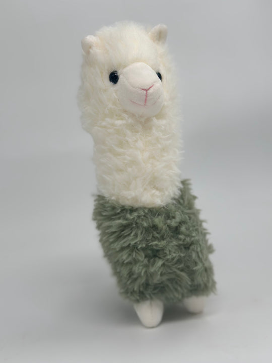 Alpaca Anton