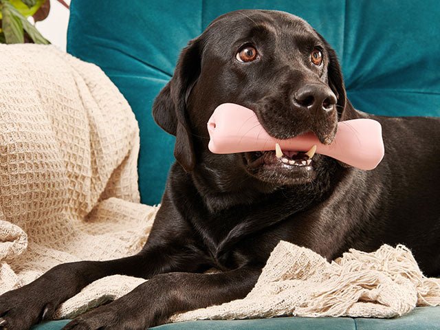 Beco Natural Rubber Ben, Lyserød - HappyPuppy.dk