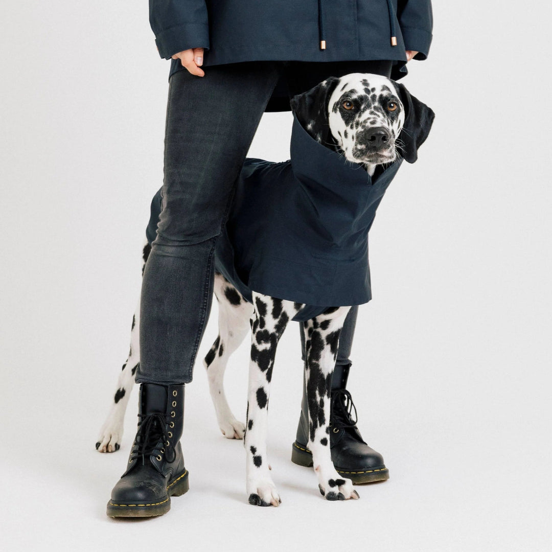 Cloud7 Hunderegnjakke Lewis Navy - HappyPuppy.dk