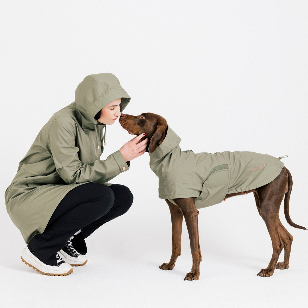 Cloud7 Hunderegnjakke Lewis Olive - HappyPuppy.dk