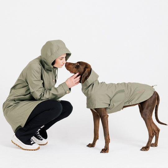 Cloud7 Hunderegnjakke Lewis Olive - HappyPuppy.dk