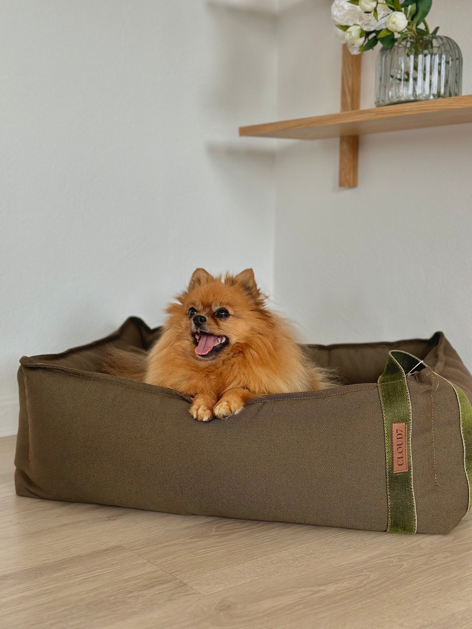 Cloud7 Hundeseng Boost Canvas Olive - HappyPuppy.dk