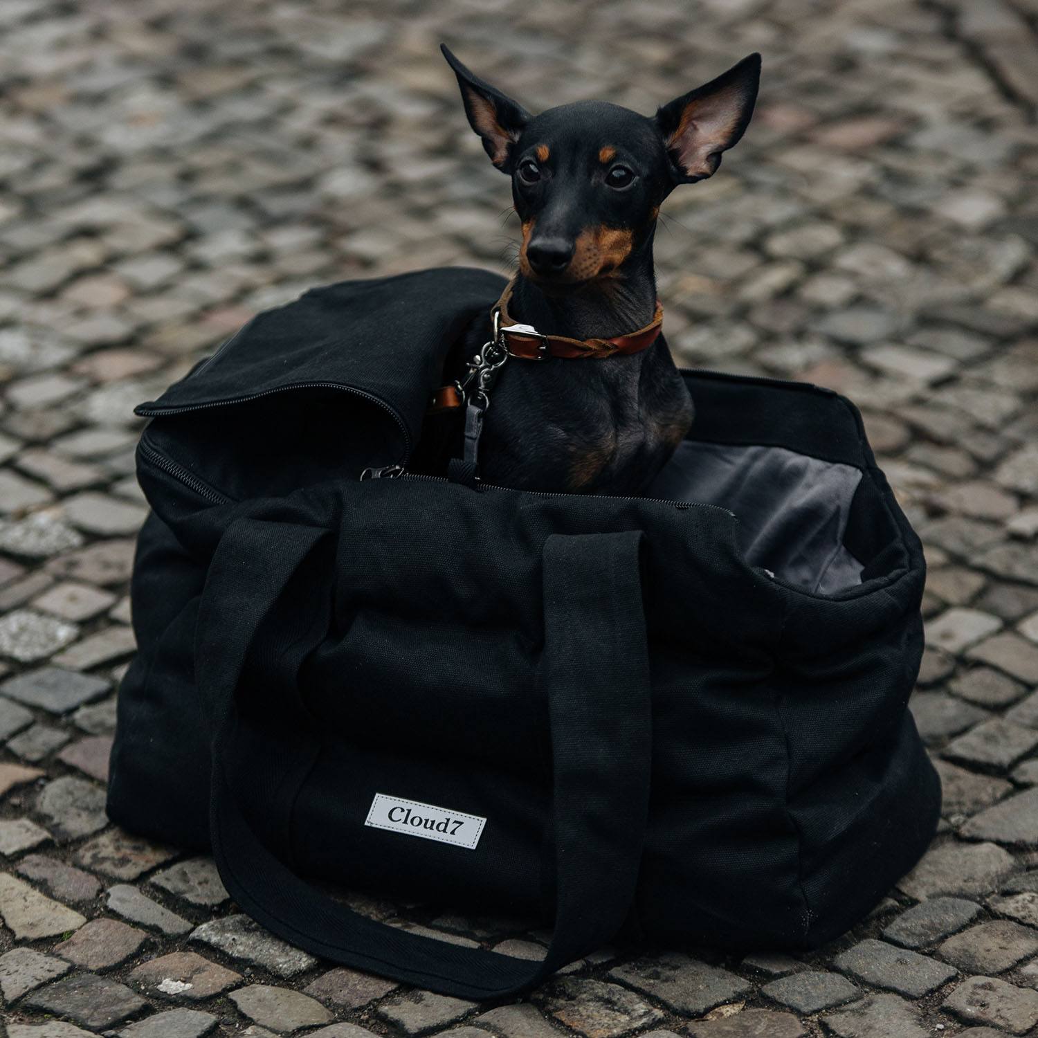 Cloud7 Hundetaske BERGAMO Canvas Black - HappyPuppy.dk