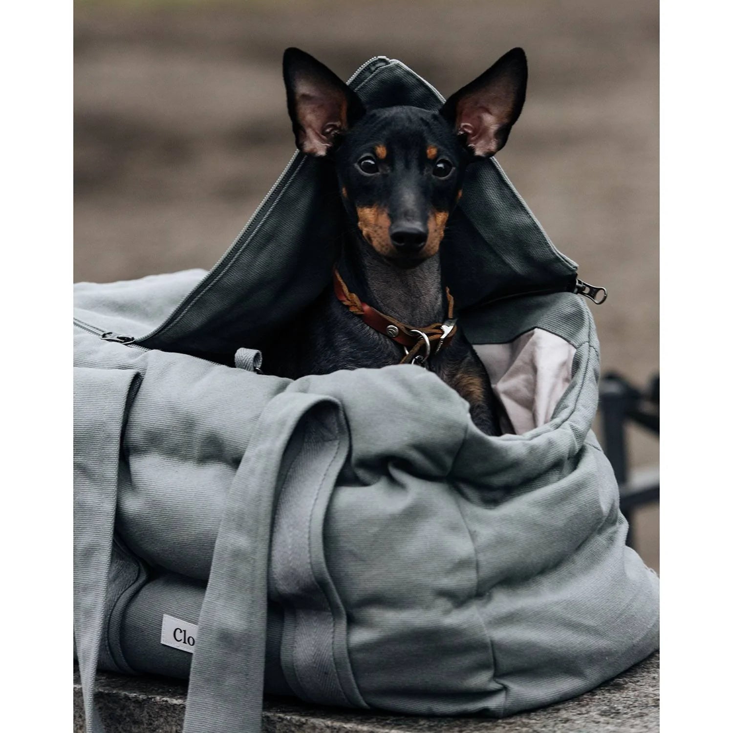 Cloud7 Hundetaske BERGAMO Canvas Grey - HappyPuppy.dk