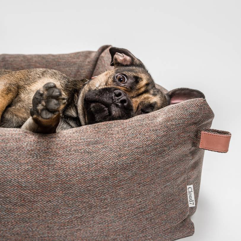 Cloud7 Sleepy Deluxe hundeseng Herringbone Brown - HappyPuppy.dk