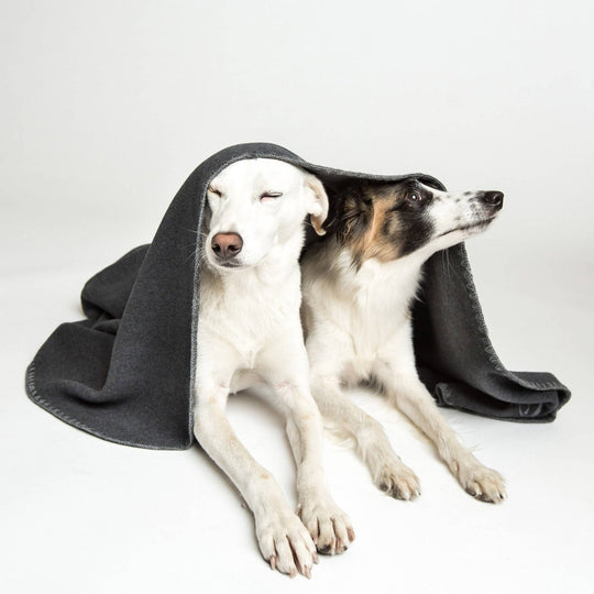 Cloud7 tæppe fleece Mørkegrå - HappyPuppy.dk