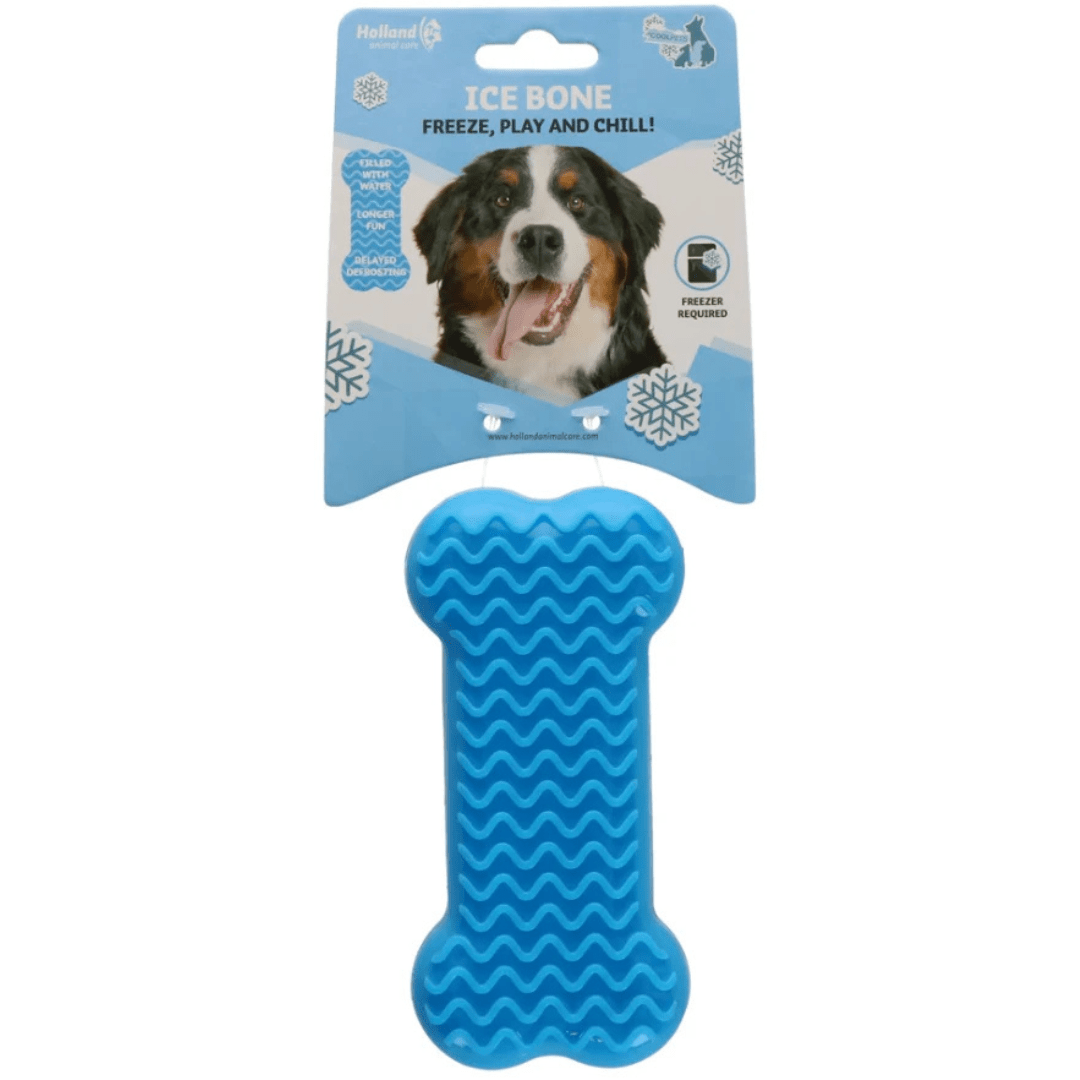 CoolPets Cooling Ice Bone - HappyPuppy.dk