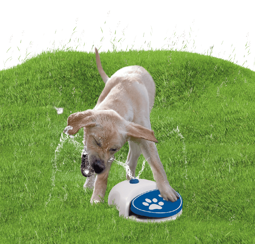 CoolPets Splash Water Fountain - HappyPuppy.dk