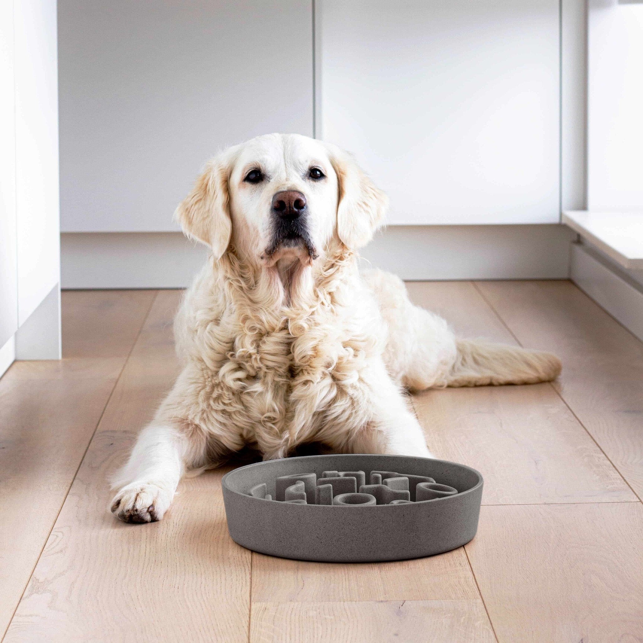 District70 BAMBOO Slow Feeder Hundeskål - HappyPuppy.dk