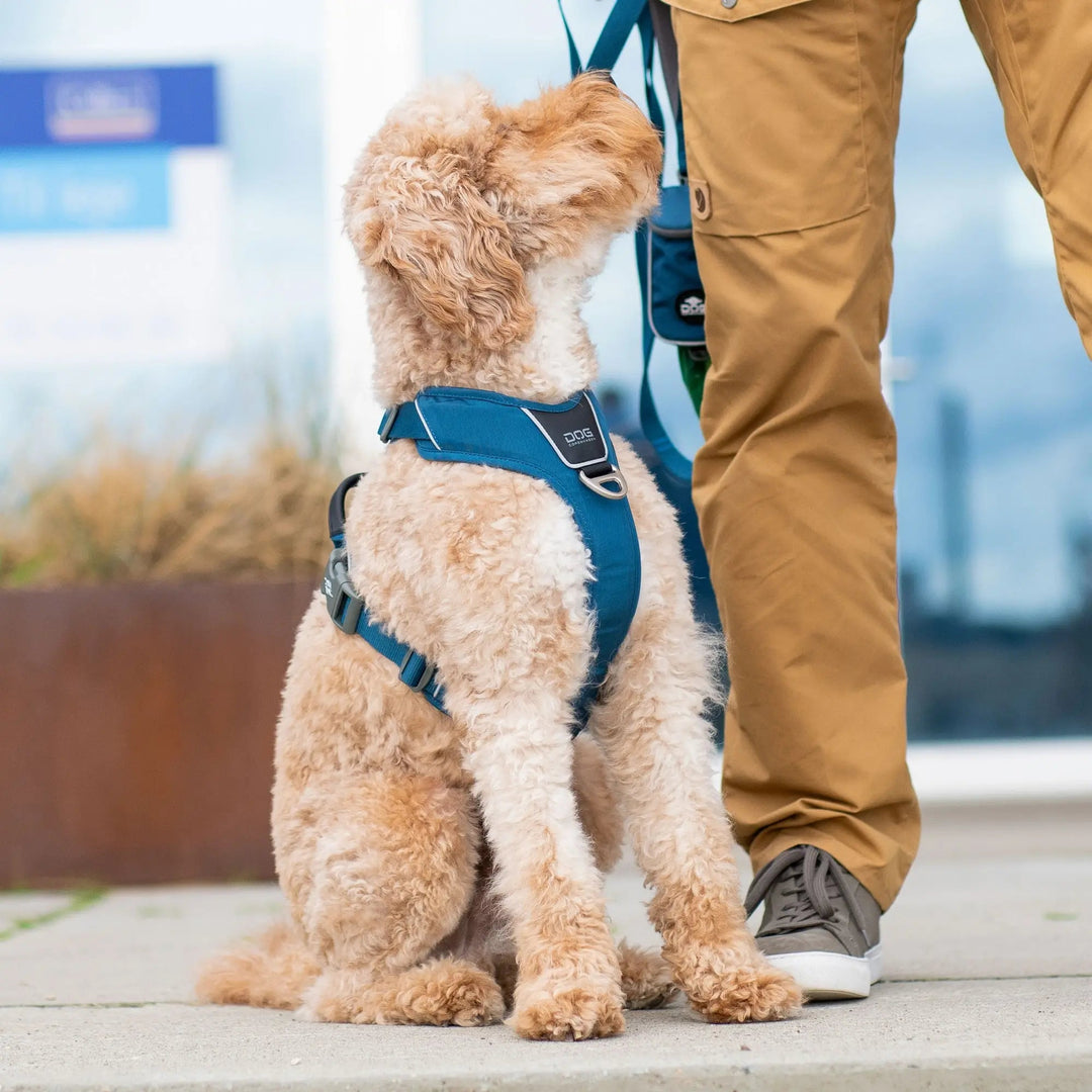 DOG Copenhagen Comfort Walk Pro™ Sele - HappyPuppy.dk
