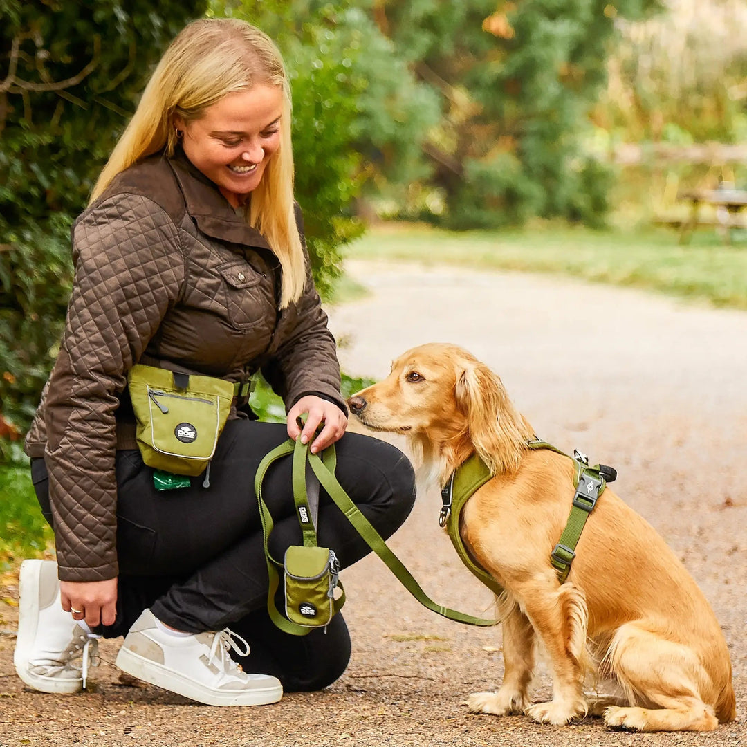 DOG Copenhagen Urban Trail™ line - HappyPuppy.dk