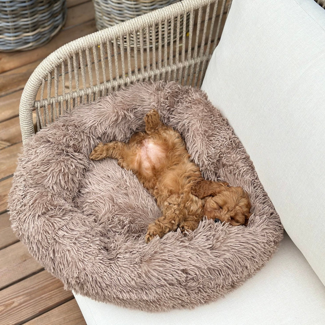 Donut Hundeseng - HappyPuppy.dk