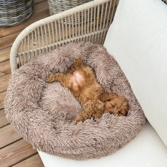 Donut Hundeseng - HappyPuppy.dk