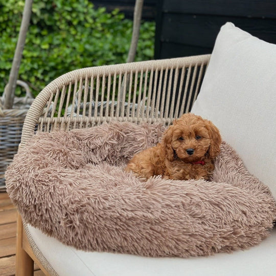 Donut Hundeseng - HappyPuppy.dk