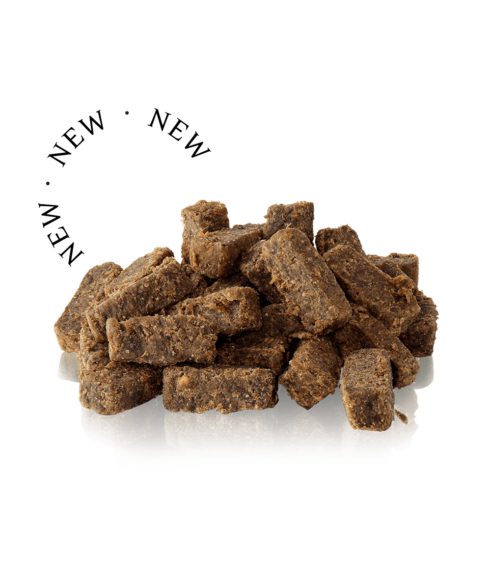 Essential Finest Pork & Sage Squares - HappyPuppy.dk