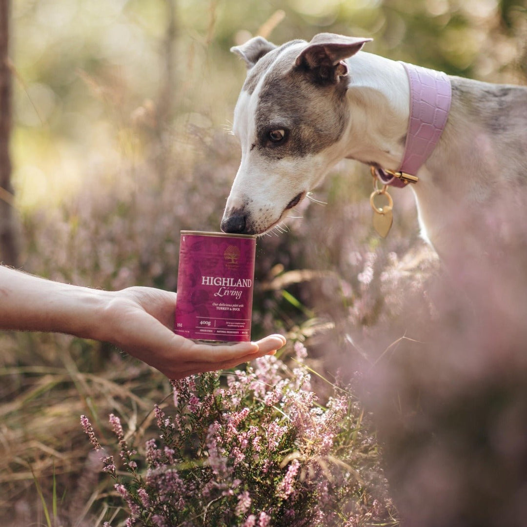 Essential Highland Living Paté 400g - HappyPuppy.dk