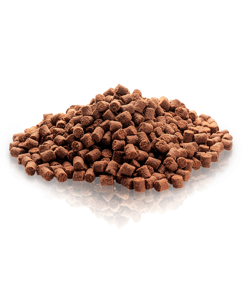 Essential Motivation Delights 500g - HappyPuppy.dk