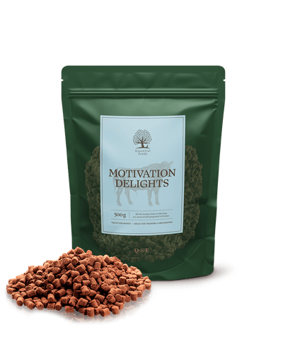 Essential Motivation Delights 500g
