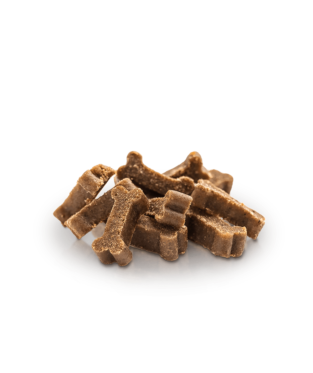 Essential Salmon Mini Delights godbidder 100g - HappyPuppy.dk
