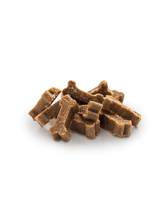 Essential Salmon Mini Delights godbidder 100g - HappyPuppy.dk