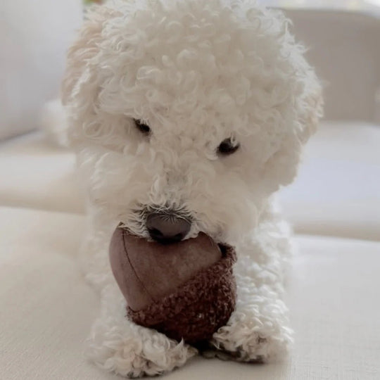 Lambwolf ACORN - HappyPuppy.dk