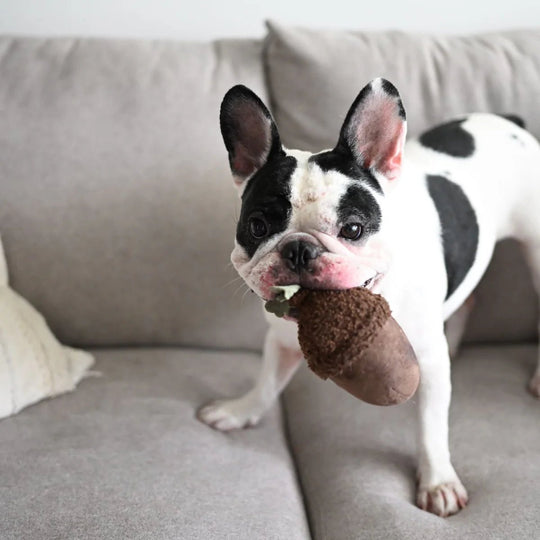 Lambwolf ACORN - HappyPuppy.dk