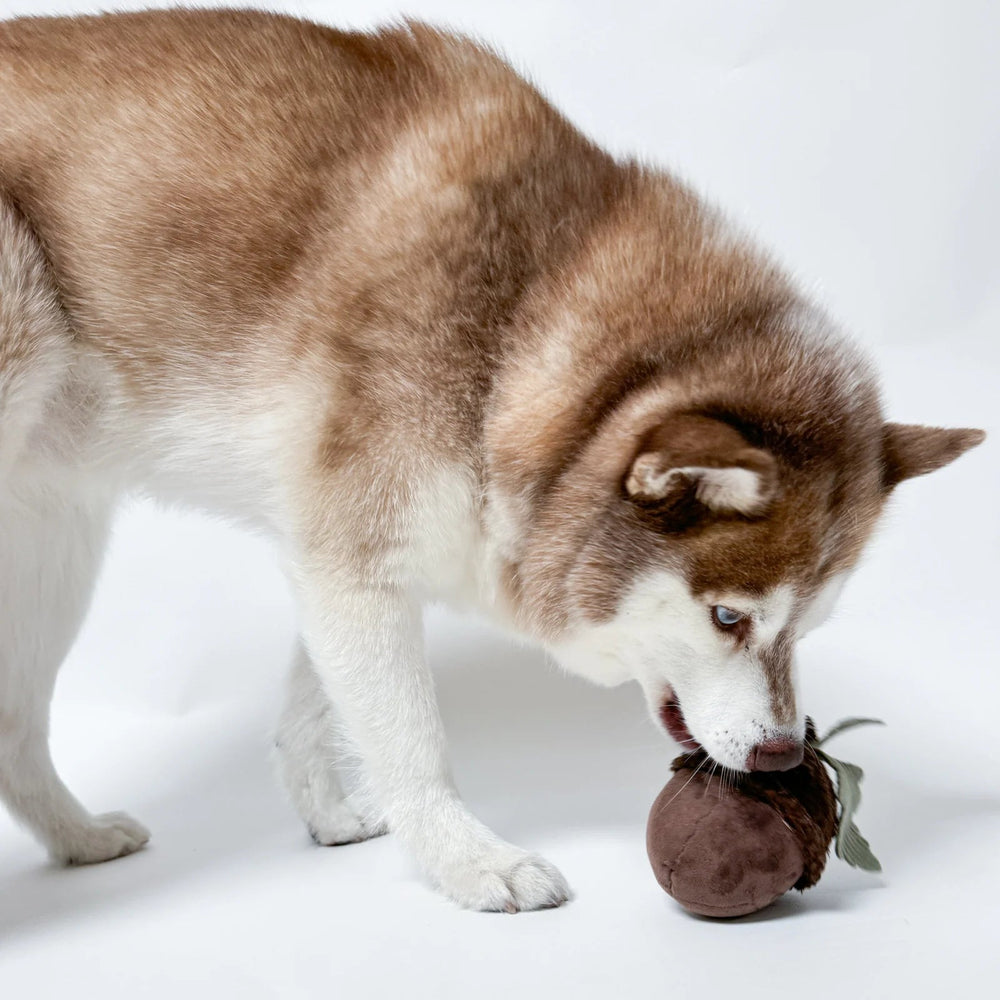 Lambwolf ACORN - HappyPuppy.dk