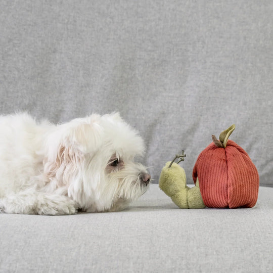 Lambwolf APPLE - HappyPuppy.dk