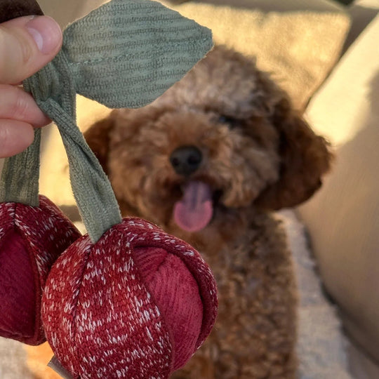 Lambwolf Cherry Pop - HappyPuppy.dk