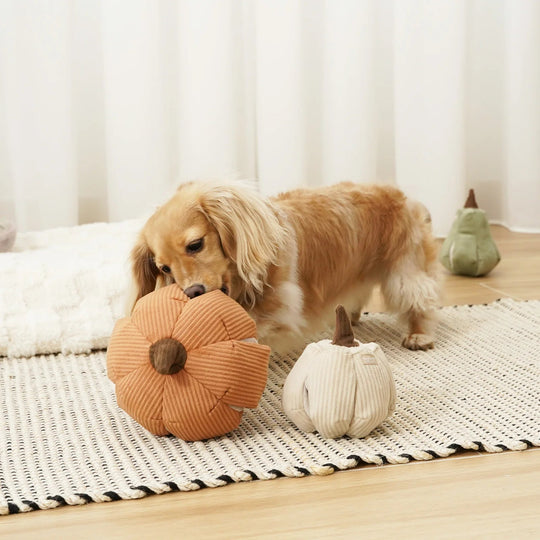 Lambwolf Cinderella - HappyPuppy.dk
