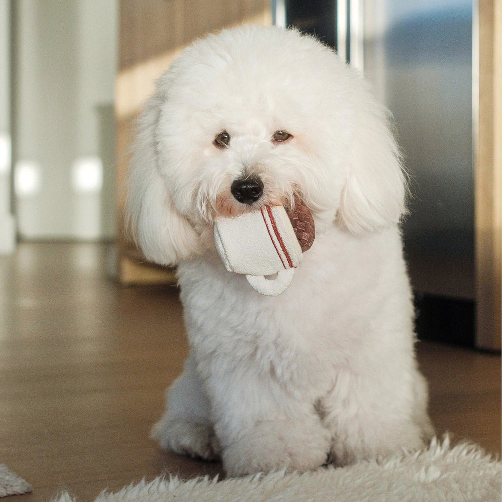 Lambwolf Expresso Pop - HappyPuppy.dk