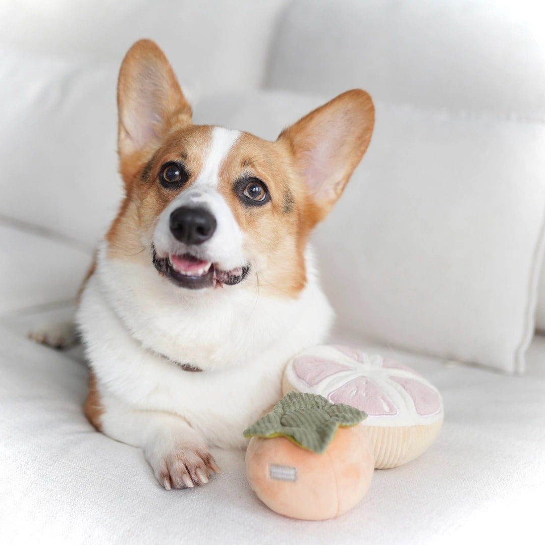 Lambwolf Grapefrugt - HappyPuppy.dk