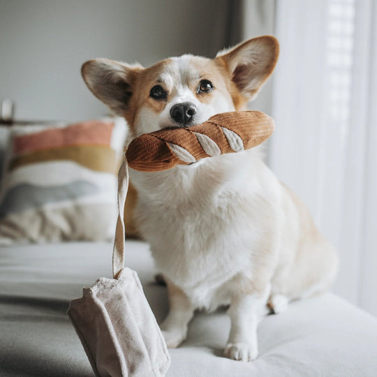 Lambwolf Mini Baguette - HappyPuppy.dk