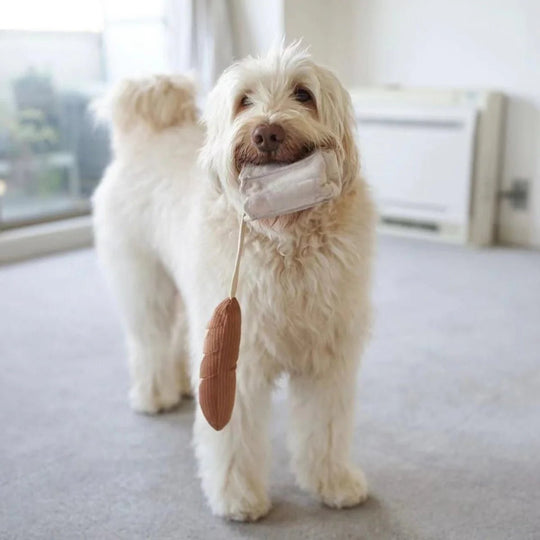 Lambwolf Mini Baguette - HappyPuppy.dk